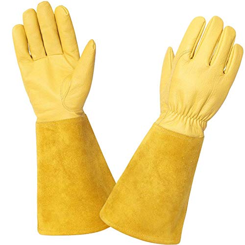 Kim Yuan Rose Pruning Gloves for Men and Women. Thorn Proof Goatskin Leather Gardening Gloves von KIM YUAN