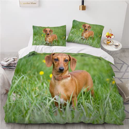 Bettbezüge 135x200 Dackel 3D Motiv Bettwäsche Hochwertig Dekorativ Bettwäsche-Sets Niedliches Tier Hund Weiche Bettwaren mit Reißverschluss und 2 Kissenbezug 80x80 Kinder Jungen Mädchen von KIMETI