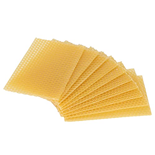 KIMISS 10pcs Beeswax Foundation für die Bienenzucht - Natürliche Bienenstockwachs für Möbelpflege und Handwerk von KIMISS