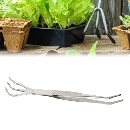KIMISS 2 in 1 Edelstahl Bonsai & Gartenwerkzeug - Wurzelrake und Pinzetten für eine Einfache Pflanzenpflege KIMISS 2 in 1 Edelstahl Bonsai & Gartenwerkzeug - Wurzelrake und Pinzetten für eine Einfache Pflanzenpflege von KIMISS