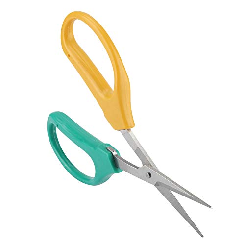 KIMISS Edelstahl -Gartenhandschwere - Ergonomische Secateurs Cutter Zum Präzisionsbeschnitten, Ideal für Pflanzen und Büsche KIMISS Edelstahl -Gartenhandschwere - Ergonomische Secateurs Cutter Zum Präzisionsbeschnitten, Ideal für Pflanzen und Büsche von KIMISS