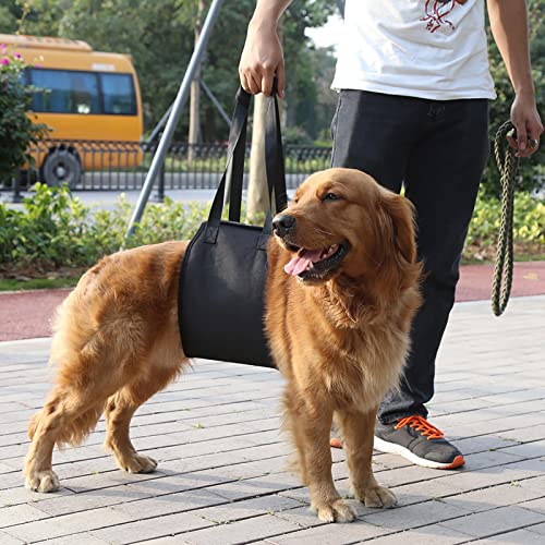 Tragbares Hundehebung, Stützgurte - Hilfe mit 4 Größen Schwarzer Auftrieb und Unterstützung der Rehabilitation Grundlegende Halftergierungen Schwacher Front- oder Hinterbeine Stehen, Gehen, Steigen Tragbares Hundehebung, Stützgurte - Hilfe mit 4 Größen Schwarzer Auftrieb und Unterstützung der Rehabilitation Grundlegende Halftergierungen Schwacher Front- oder Hinterbeine Stehen, Gehen, Steigen von KIMISS