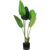 King Home - strelitzia Pflanze h. 100 cm 5 leaves komplett mit Moostopf von KING HOME