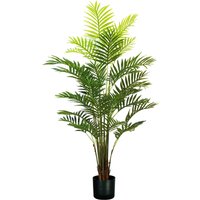 King Home - palma areca Pflanze h. 160 cm 33 leaf komplett mit Moostopf von KING HOME