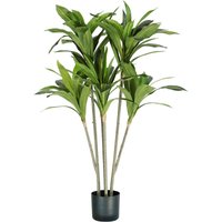 King Home - Pflanze dracaena h. 130 cm 88 leaves komplett mit Moostopf von KING HOME