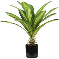 King Home Pflanze DRACAENA H. 60 cm 19 LEAVES komplett mit Moostopf King Home Pflanze DRACAENA H. 60 cm 19 LEAVES komplett mit Moostopf von KING HOME