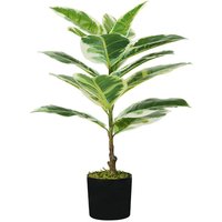 King Home - Pflanze ficus elastic h. 65 cm 15 leaves komplett mit Topf mit Moos von KING HOME