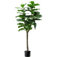 King Home - Pflanze ficus lyrata h. 130 cm 60 leaves komplett mit Moostopf von KING HOME