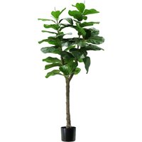 King Home Pflanze FICUS LYRATA H. 130 cm 60 LEAVES komplett mit Moostopf King Home Pflanze FICUS LYRATA H. 130 cm 60 LEAVES komplett mit Moostopf von KING HOME