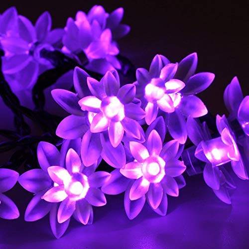 KINGCOO Solar Blume Außenlichterkette, Wasserdicht 23FT 50LED Lotus Blume Solar Lichterketten mit 8 Modus Weihnachtsbeleuchtung für Garten Hochzeit Party Dekoration (Lila) von KINGCOO