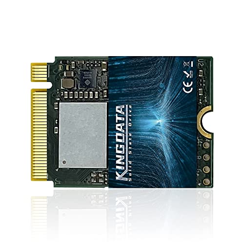 KINGDATA 1TB M.2 2230 SSD NVMe PCIe Gen 3.0x4 Internal Festkörper-Laufwerk für PS5,Steam Deck, Microsoft Surface, Ultrabook, Laptop, Desktop,GPD(M.2 2230 NVMe PCIe 3.0, 1TB) von KINGDATA