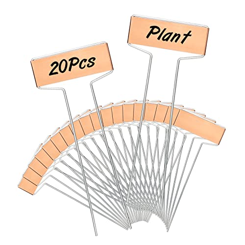 KINGLAKE 20Stk 15.5CM pflanzenschilder pflanzenstecker kräuterschilder Metall für draussen beetbeschriftung wetterfest gartenschilder von KINGLAKE