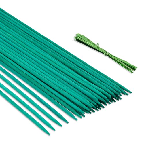 KINGLAKE 50Stück 45cm pflanzenstab Bambus Grün,Stäbe Pflanzen Stütze Blumenstab,Orchideenstab Plant Sticks Mit 50 Pflanzenbindern Zum Stützen von Kletterpflanze Orchideen Tomate von KINGLAKE