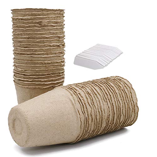 KINGLAKE 100 Stück Anzuchttöpfe Biologisch Abbaubare 6CM, Kleine Aussaattöpfe Papier Zellstoff Rund, Für Sämlingen,Saate, Stecklingen, Mit 100 Stück Pflanzenstecker 5X1CM von KINGLAKE