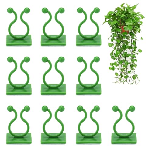 KINGLAKE 100 Stück pflanzenclips pflanzenklammern Wand selbstklebend Pflanzen Clips Wand Plant Climbing Clips Wall befestigungs für kletterpflanzen Befestigung Clips Wand (Grün) von KINGLAKE