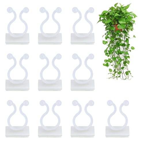 KINGLAKE 100 Stück pflanzenclips pflanzenklammern Wand selbstklebend Pflanzen Clips Wand Plant Climbing Clips Wall befestigungs für kletterpflanzen Befestigung Clips Wand (weiß) von KINGLAKE