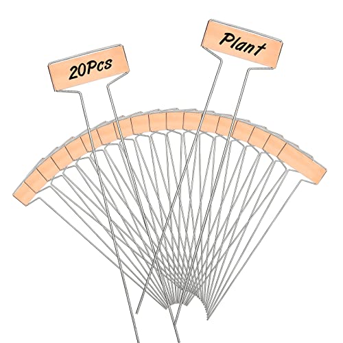 KINGLAKE 20Stk 25.5CM pflanzenschilder pflanzenstecker kräuterschilder Metall für draussen beetbeschriftung wetterfest gartenschilder von KINGLAKE