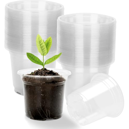 KINGLAKE 36 Stück Anzuchttöpfe Pflanztopf Durchsichtig, 10cm Anzuchttopf Blumentöpfe Plastik, Pflanztöpfe Orchideentopf Transparent Klein, Töpfe Untertopf für Pflanzen Orchideen von KINGLAKE