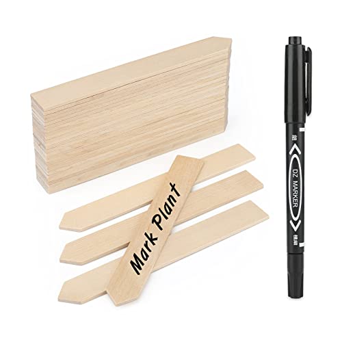 KINGLAKE 50Stk 15x2CM Pflanzenschilder Holz, Pflanzenstecker zum Beschriften, Stecketiketten Holz, Garten Etiketten für Pflanzen, Kräutern, Setzlingen von KINGLAKE