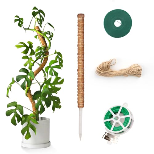 KINGLAKE Monstera Rankhilfe, 1 Stück 90CM Monstera kokosstab, Biegbar Pflanzstab Für Monstera Mit Zubehör, Natür Pflanzenstütze Für Kletterpflanzen von KINGLAKE