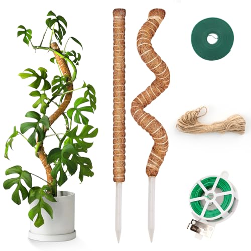 KINGLAKE Monstera Rankhilfe, 2 Stück 120CM Monstera kokosstab, Biegbar Pflanzstab Für Monstera Mit Zubehör, Natür Pflanzenstütze Für Kletterpflanzen von KINGLAKE