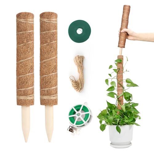 KINGLAKE Monstera Rankhilfe, 2 Stück 30CM Monstera kokosstab, Pflanzstab Erweiterbar Für Monstera Mit Zubehör, Natür Pflanzenstütze Für Kletterpflanzen von KINGLAKE