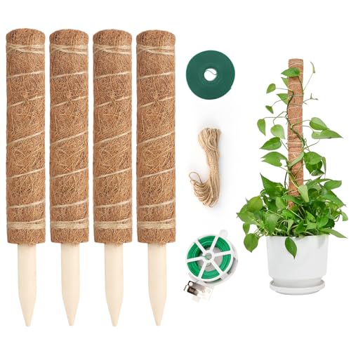 KINGLAKE Monstera Rankhilfe, 4 Stück 30CM Monstera kokosstab, Pflanzstab Erweiterbar Für Monstera Mit Zubehör, Natür Pflanzenstütze Für Kletterpflanzen von KINGLAKE