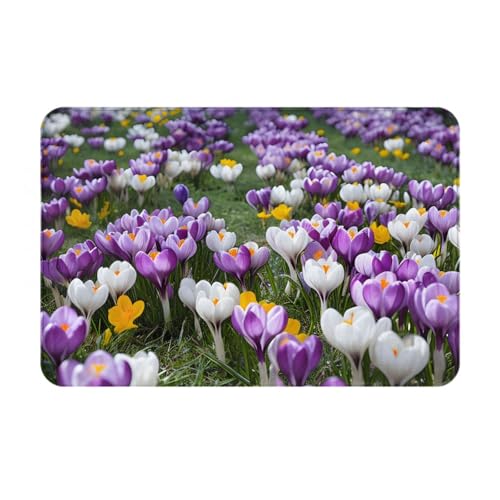KINGWW Fußmatte Krokusse in voller Blüte, robust und lustig, für den Innenbereich, Maße: 60 x 40 cm, leicht zu reinigende Bodenmatte. von Kingww