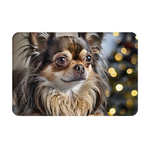 KINGWW Fußmatte mit langhaarigem Chihuahua, robust und lustig, für den Innenbereich, 60 x 40 cm, leicht zu reinigende Bodenmatte. von Kingww