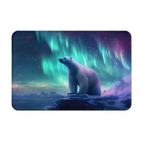 KINGWW Northern Lights Fußmatte Eisbär, robust und lustig, für den Innenbereich, Maße: 60 x 40 cm, leicht zu reinigende Bodenmatte. von Kingww