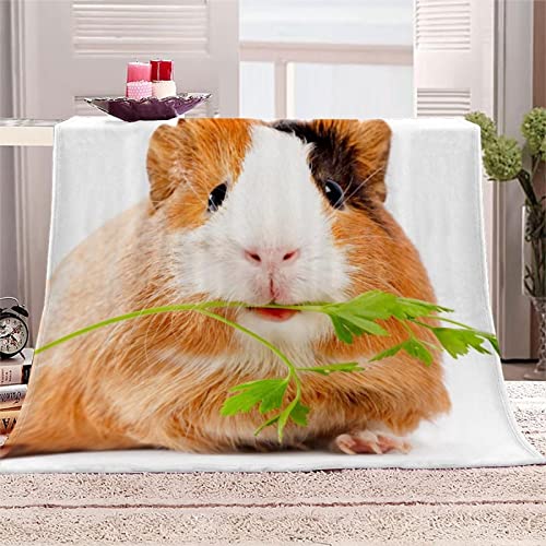 3D Meerschweinchen Kuscheldecke Flauschig, Muster Meerschweinchen Decke 180 x 200 cm Warme Mikrofaser Flanell Decken Weich Fleecedecke Sofadecke Kuscheldecken Tagesdecke Wohndecke für Bett/Sofa von KINITA