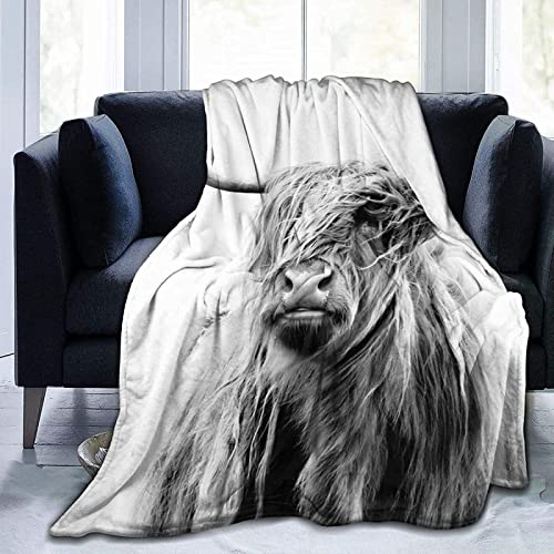 KINITA Graues Hochlandrind Kuscheldecke Flauschige, 3D Flanell Fleecedecke 150x200 Das Vieh Mikrofaser Wohndecke Weich Decke Sofaüberwurf Tagesdecke Couchdecke kinderdecke für Bett/Sofa von KINITA