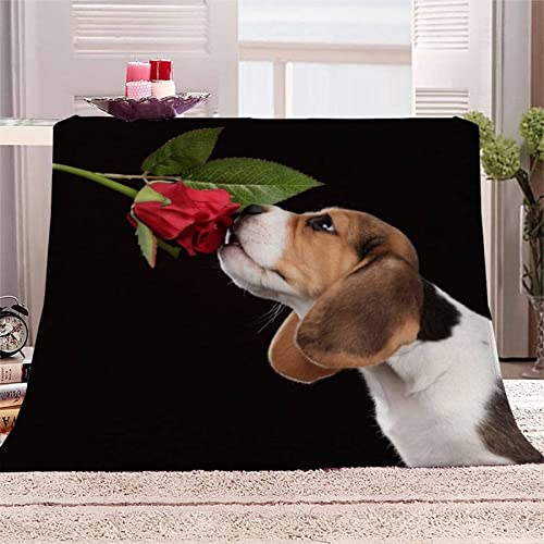 Kuscheldecke Flauschig Beagle Hound, 3D Rose Decke 150 x 200 cm Warme Mikrofaser Flanell Decken Weich Fleecedecke Sofadecke Kuscheldecken Tagesdecke Wohndecke für Bett/Sofa von KINITA