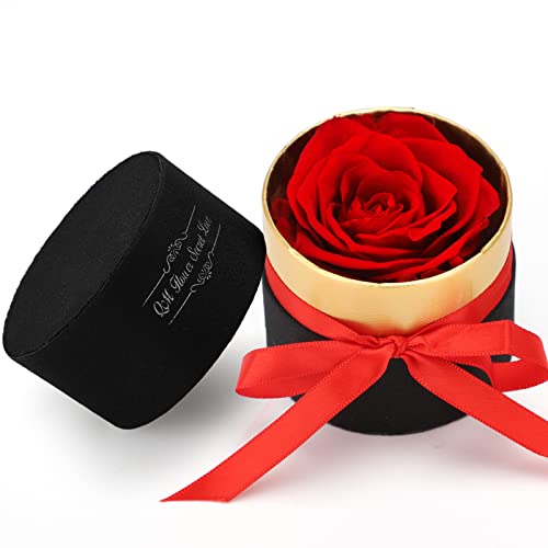 KIPIDA Ewige Rosen Box, Infinity Rose Echte Rosen Konservierte Rosen Handgemacht, Rose Geschenke für Frauen, Rosenbox mit Konservierte Blumen, Mama Freundin Hochzeiten Geburtstag von KIPIDA