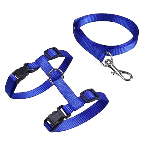 1 Stück Verstellbare Nylon Geschirre Katzenleine,Geschirre Katzenleine Kätzchenhalsband,Katzengeschirr mit Leine Ausbruchsicher für Kätzchen Welpe Kaninchen Hase 1 Stück Verstellbare Nylon Geschirre Katzenleine,Geschirre Katzenleine Kätzchenhalsband,Katzengeschirr mit Leine Ausbruchsicher für Kätzchen Welpe Kaninchen Hase von KIRVOS
