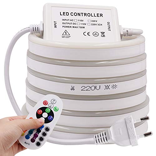 KISUFU RGB Neon LED Streifen,Neon Wasserdicht Strip 220V Outdoor Flexibler DIY Lichtband für Innen Weihnachtsfeier Aussenbereich Schlafzimmer, Schrank, Bar,mit Netzteil und 24 Tasten Controller (2m) von KISUFU