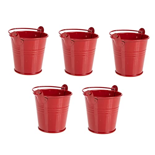 KITANDOVE 5stücke Kreativer Iron Planter Teiliges Aus Eisen Vintage-blumentöpfe Für Sukkulenten Für Balkon Und Garten Boho-Dekoration von KITANDOVE