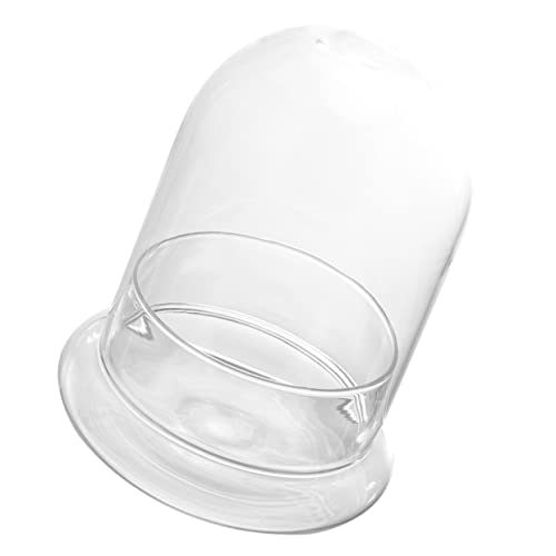 KITANDOVE Mikro Landschaftsflasche Leere Moosflasche Aus Ökologische DIY Landschaftsflasche Mit Glaskuppel Für Kreative Terrarien Und Miniaturgärten von KITANDOVE