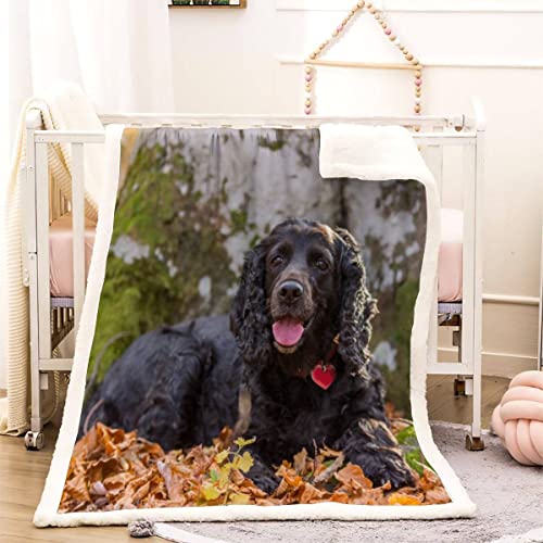 3D Cocker Spaniel Kuscheldecke 150x200cm Tierischer Hund Flauschige Sherpa Decke Microfaser Warm Weich Fleecedecke Wohndecke Dicke Flanelldecke Sofadecke Couchdecke Kinder Erwachsene Winter von KITUNE