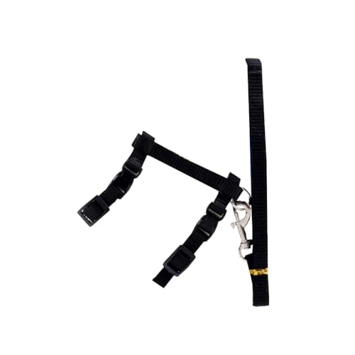KIXZSAZ Pet Walking Leine Schnalle Tierhalsband Seil Outdoor Flexible Harness String Komfortable Sicherheit Tragbarer Ersatz, Schwarz von KIXZSAZ