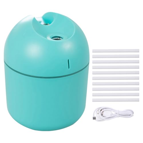 KIXZSAZ Schreibtisch 2 in 1 LED Nachtlicht Luftbefeuchter mit zwei Modi, 250 ml, Luftdiffusor, Auto, kühler Sprühnebel, Büro, Wohnheim, Zerstäuber, Grüne 10 Sticks von KIXZSAZ
