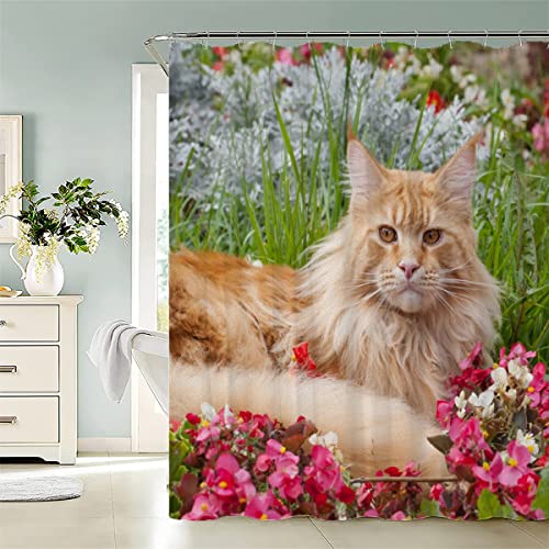 Duschvorhang 180x180 cm Maine-Coon-Katze Duschvorhang 3D Druckt Anti schimmel Polyester Wasserdicht Duschvorhänge Haustiere Kawaii Tiere Shower Curtains Für Badezimmer Mit 12 Hooks von KIYAYO