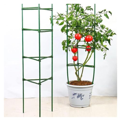 tomatenkäfig 30 Stück Pfahlarme for Tomatenkäfig, erweiterbare Spalierverbinder von KJBDQQH