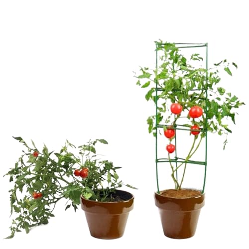 tomatenkäfig Abnehmbare Gartengemüsepfähle for Pflanzenkäfige unterstützen vertikale Tomatenkletterpflanzen(60pcs) von KJBDQQH
