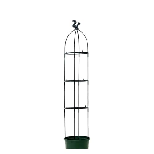 tomatenkäfig Garten Bogen Spalier Klettern Anlage Unterstützung Rostfrei for Pflanzen Im Freien Höhe(120cm) von KJBDQQH