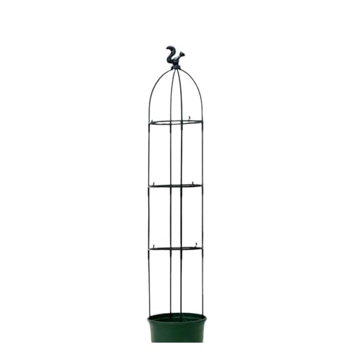 tomatenkäfig Garten Bogen Spalier Klettern Anlage Unterstützung Rostfrei for Pflanzen Im Freien Höhe(145cm) von KJBDQQH