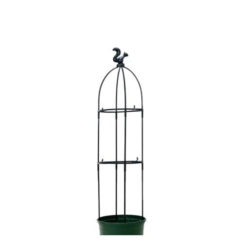 tomatenkäfig Garten Bogen Spalier Klettern Anlage Unterstützung Rostfrei for Pflanzen Im Freien Höhe(95cm) von KJBDQQH