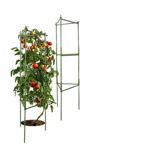 tomatenkäfig Garten Gemüse Stakes Anlage Käfige Zu Unterstützen Wachstum Anti Umkippen Tomaten(Multi19) von KJBDQQH