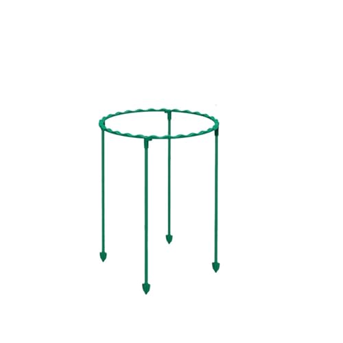 tomatenkäfig Kletterpflanze Spalier Größen Kunststoff Ring for montieren Garten Tomaten Unterstützung(Beige) von KJBDQQH