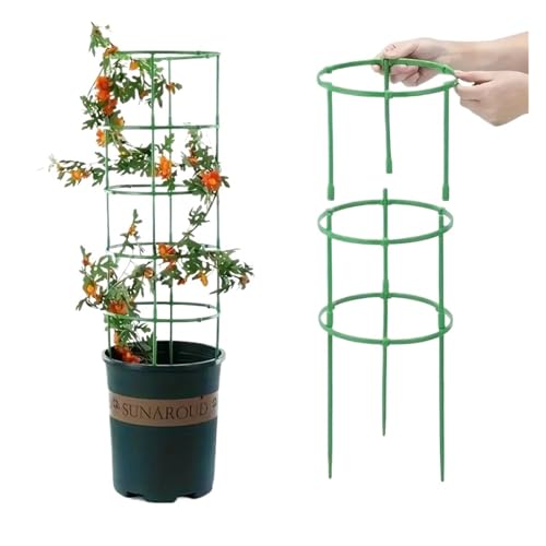 tomatenkäfig Pflanzenstütze Grow Stakes Rundring Kunststoff Käfighalter Blumentopf Klettergitter tomatenkäfig Pflanzenstütze Grow Stakes Rundring Kunststoff Käfighalter Blumentopf Klettergitter von KJBDQQH